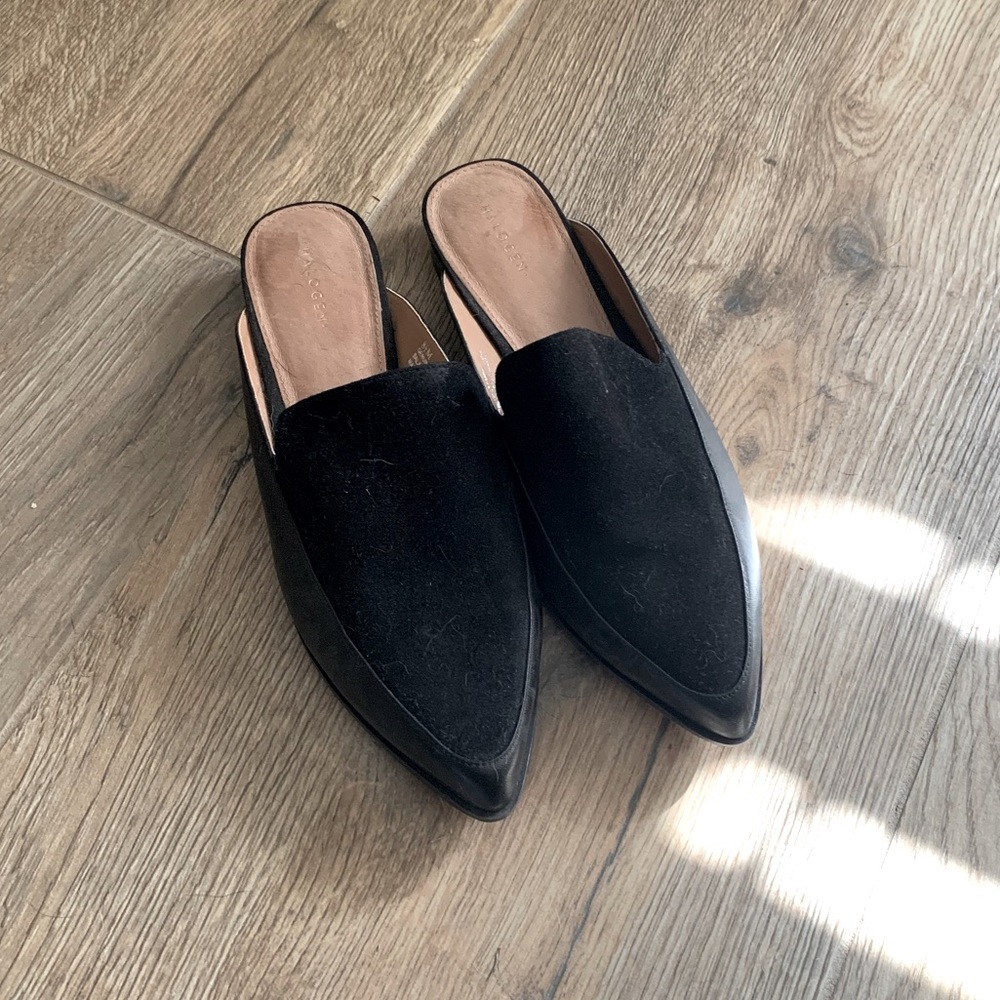 Halogen mules